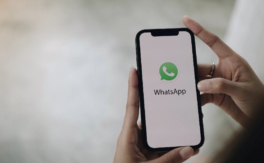 whatsapp business