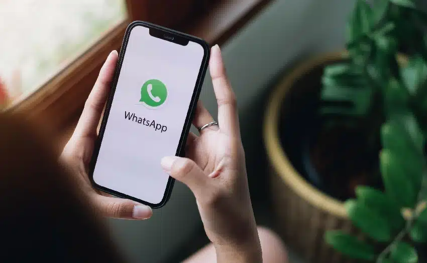 meta business partner