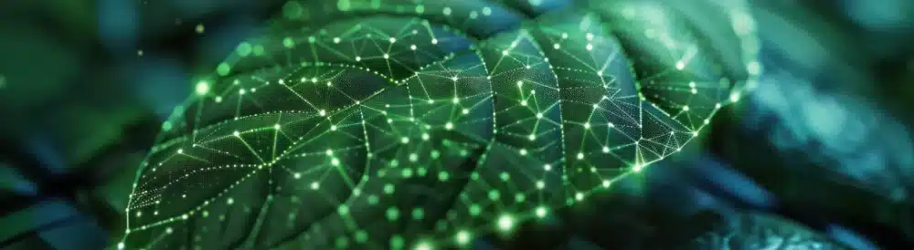 proyecto innovación